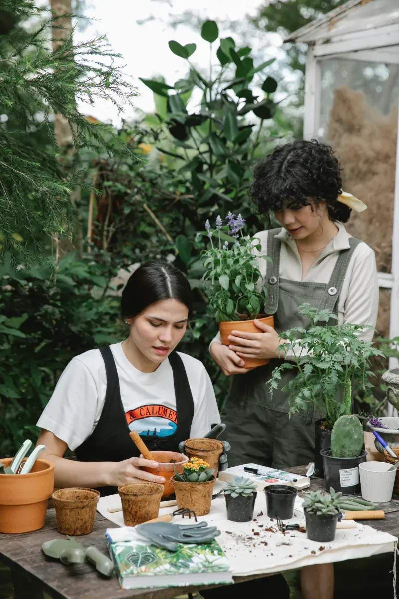 Transformación de un jardín en pendiente con bajo mantenimiento