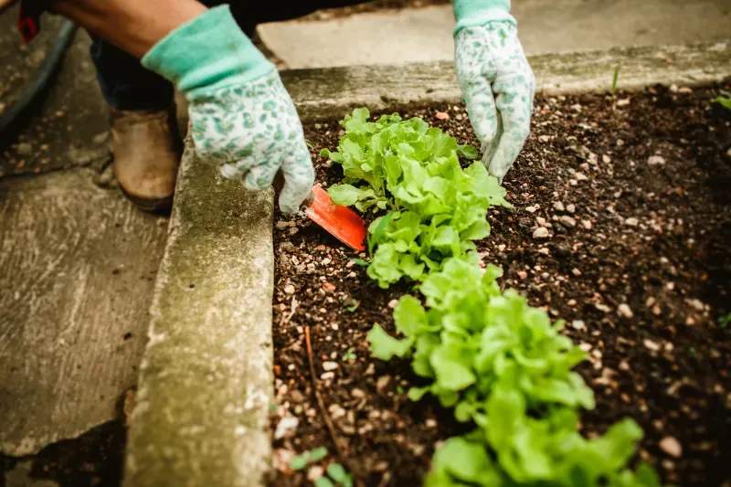 Renovación de patio comunitario para uso familiar