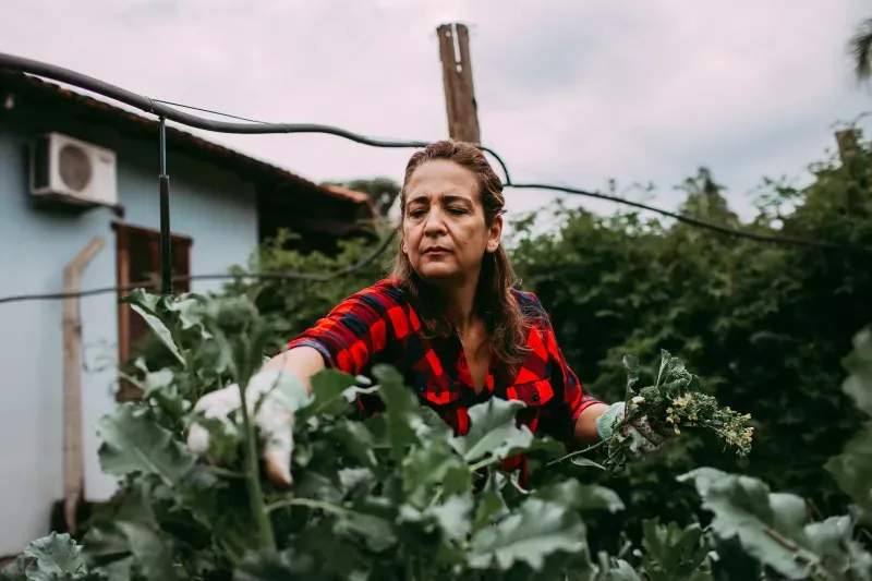 Mantenimiento integral de jardines