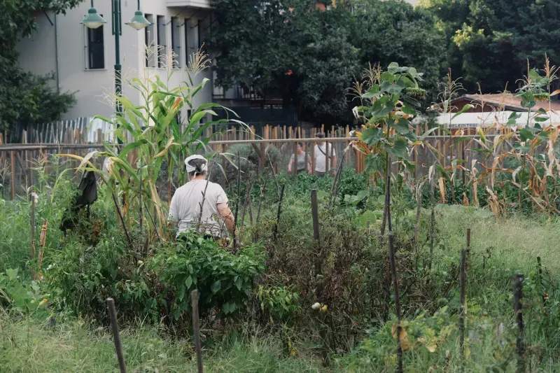 Instalación y reparación de sistemas de riego