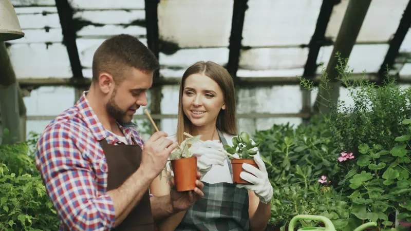 Limpieza y preparación de terrenos